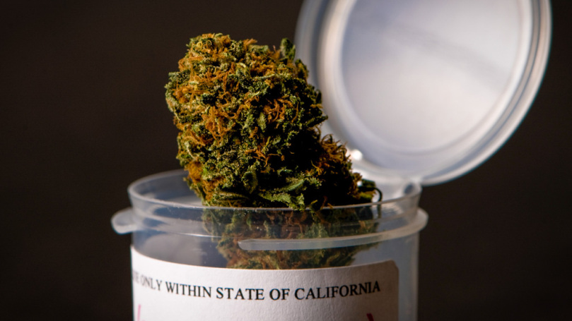 Cannabis creates 1 million jobs in California