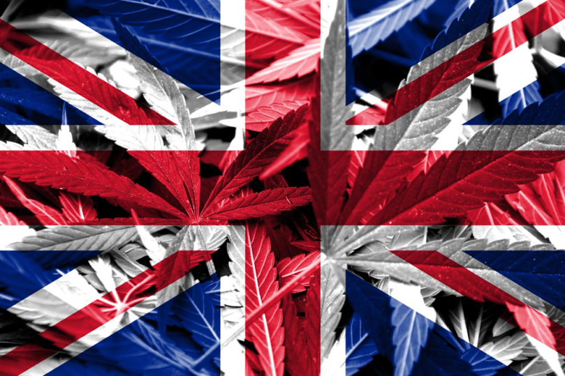 UK Pushes for a Rational Approach to Cannabis
