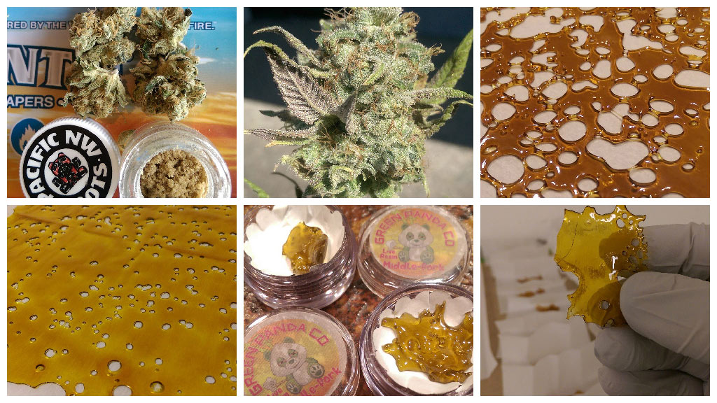 5 Instagram Pages that will Raise Your Cannabis IQ