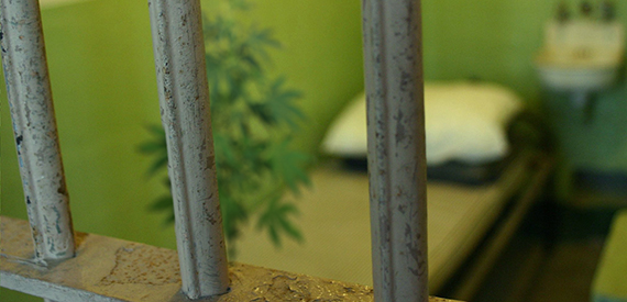 Should Marijuana Offenders Have Different Prisons?