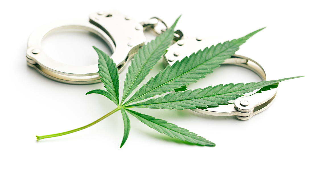 Felony Pot Convictions Have Dropped 90% in Washington State Since Legalization