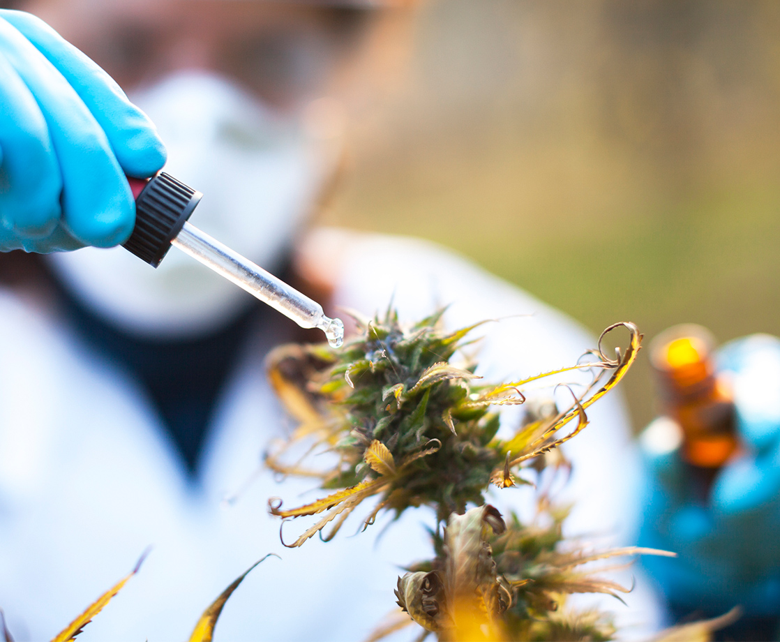 Massachusetts Will Finally License Cannabis Testing Labs, Though Controversy Continues