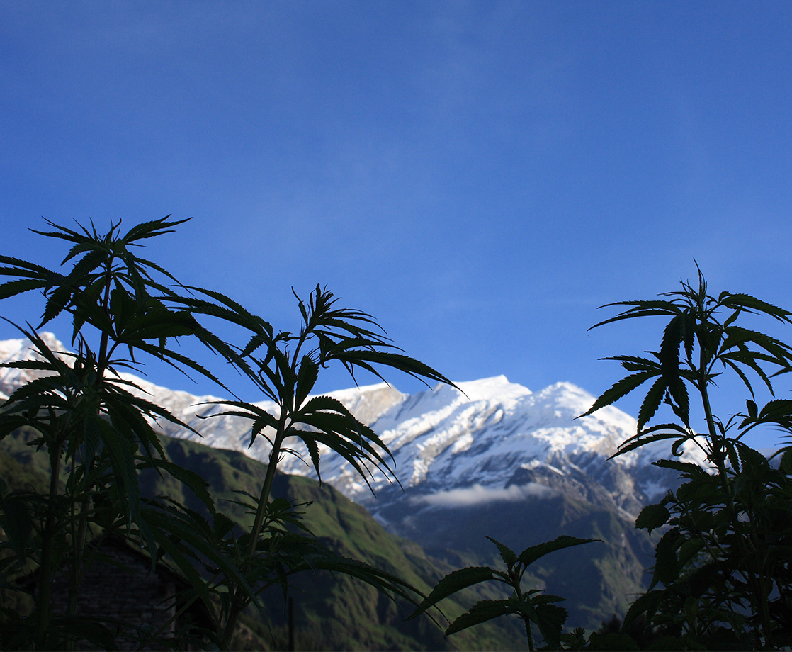 Alaska Is On Track to Become First State with Legal Cannabis Lounges
