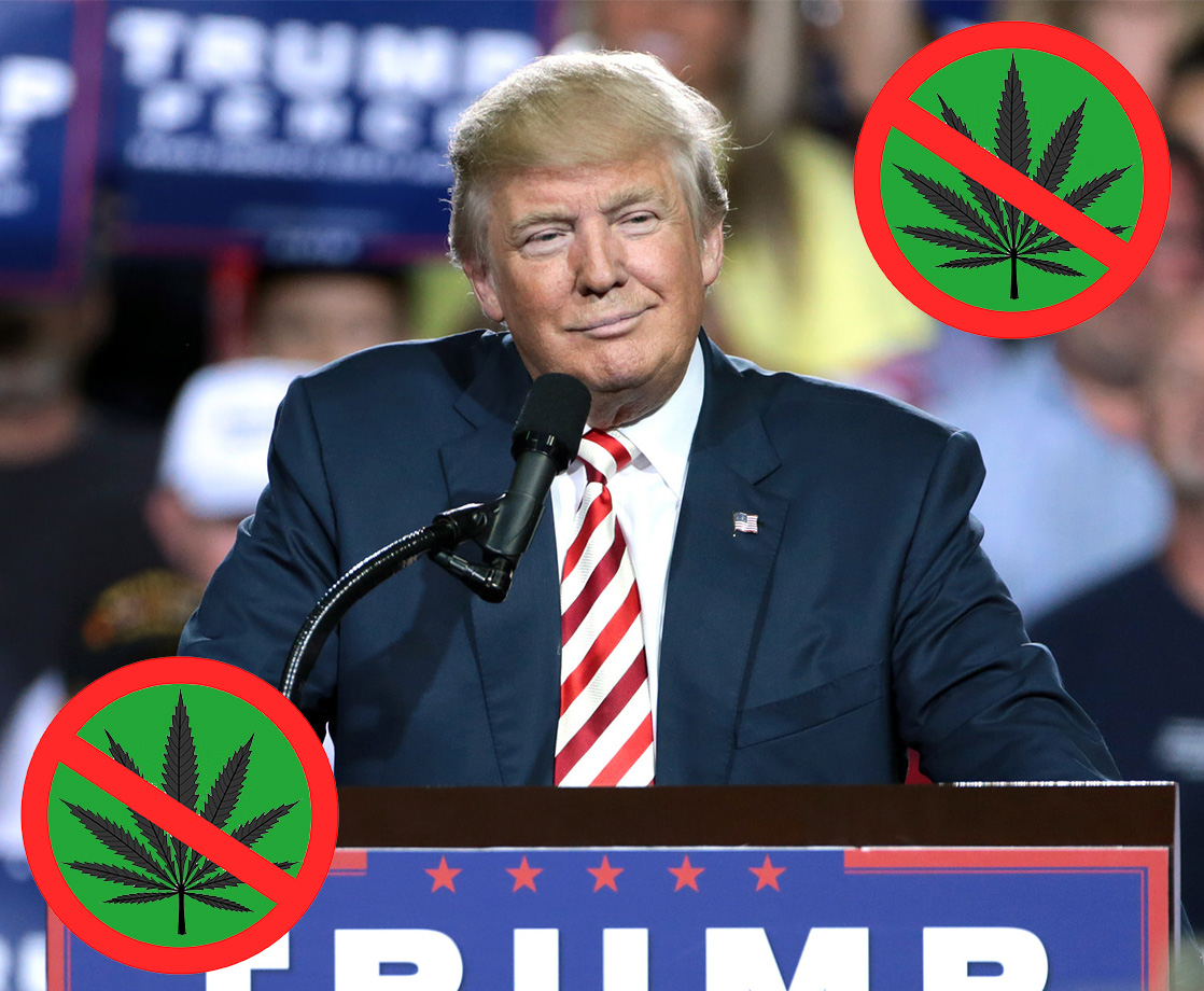 The Trump Administration Has Formed a Secret Anti-Cannabis Committee