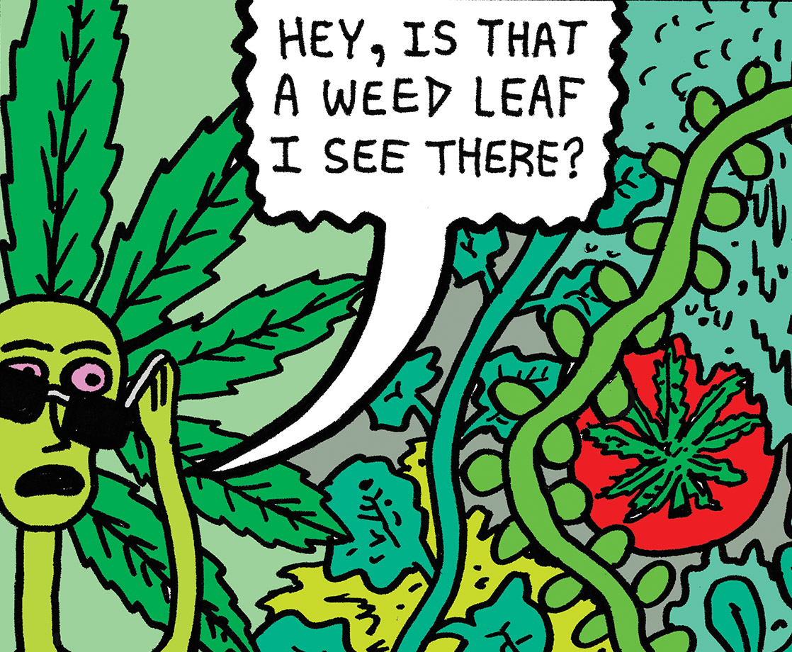 The High Life of Weed Dude Vol. 3: A Dealer Is Born