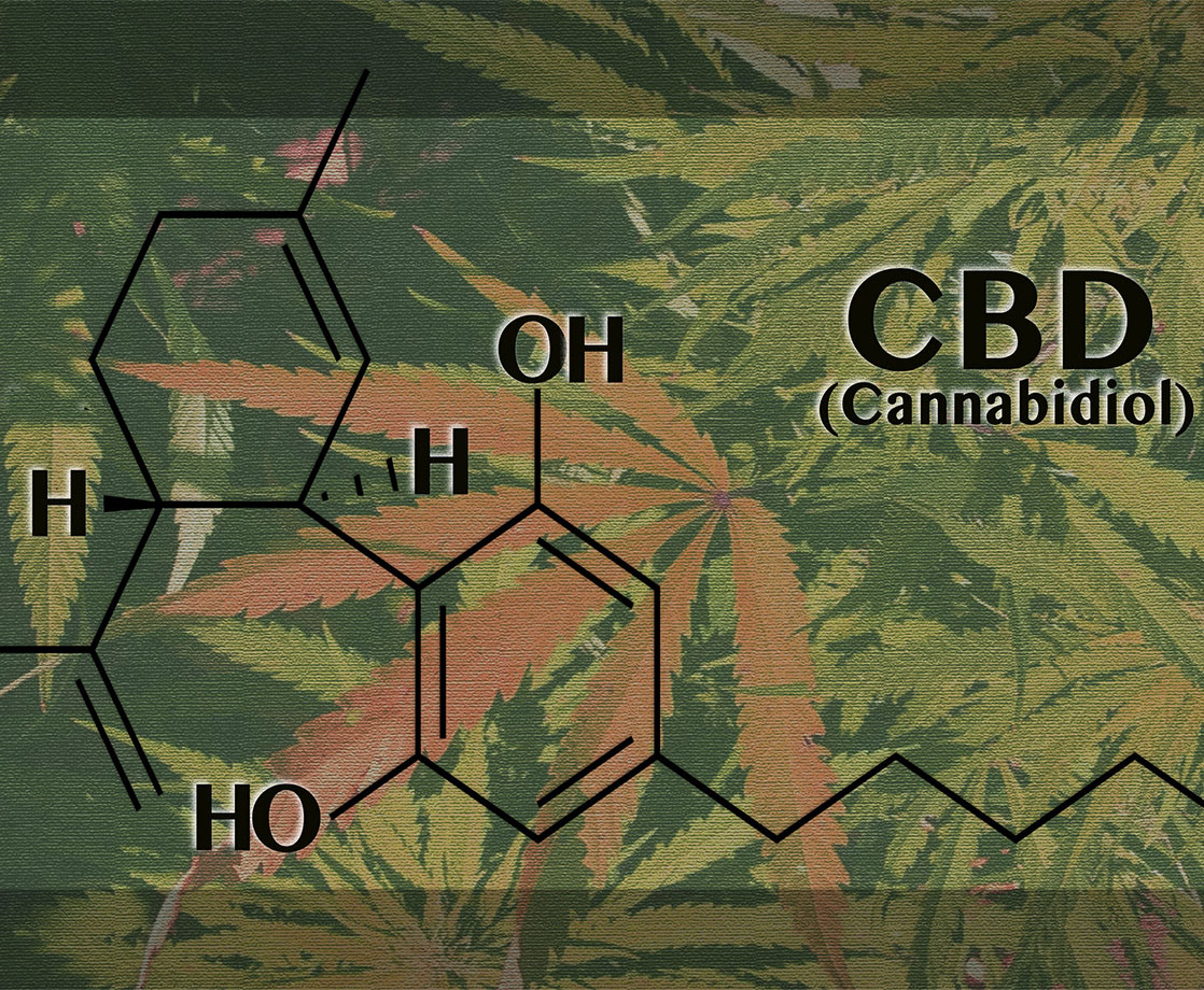 A Danker Dictionary: “CBD” and “Medical Marijuana” Added to Merriam-Webster