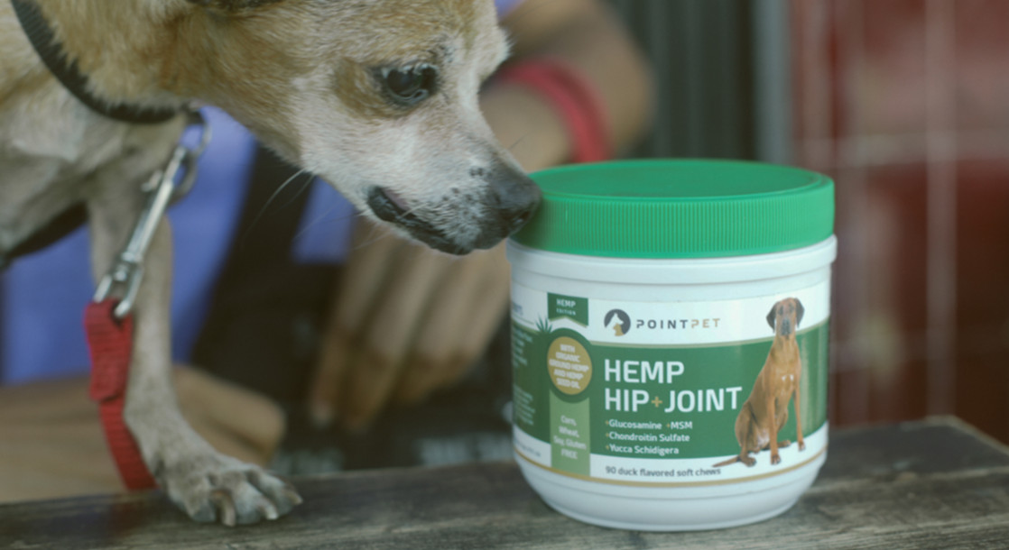 Cannabis for Canines? Vets and Pet Owners Talk Marijuana and Animal Health