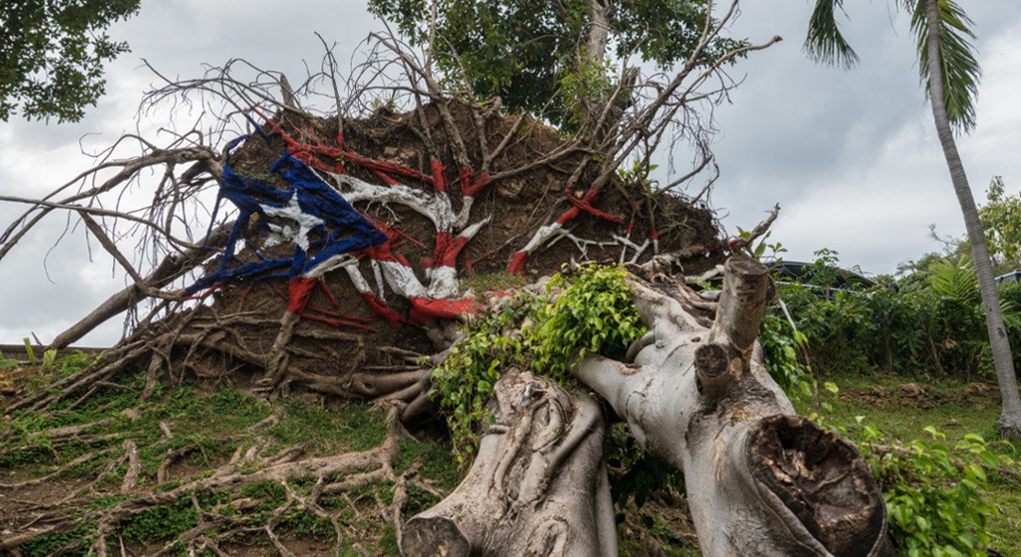 Puerto Rico’s Medical Cannabis Industry Is Finally Recovering From Hurricane Maria