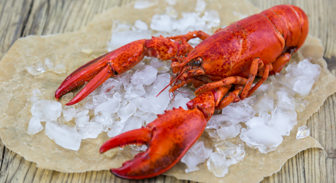 This Maine Restaurateur Is Hot Boxing Lobsters Before Boiling Them, and PETA Is Mad
