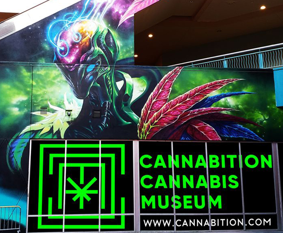 Las Vegas’ New Weed Museum Has a Bud-Filled Swimming Pool, World’s Biggest Bong