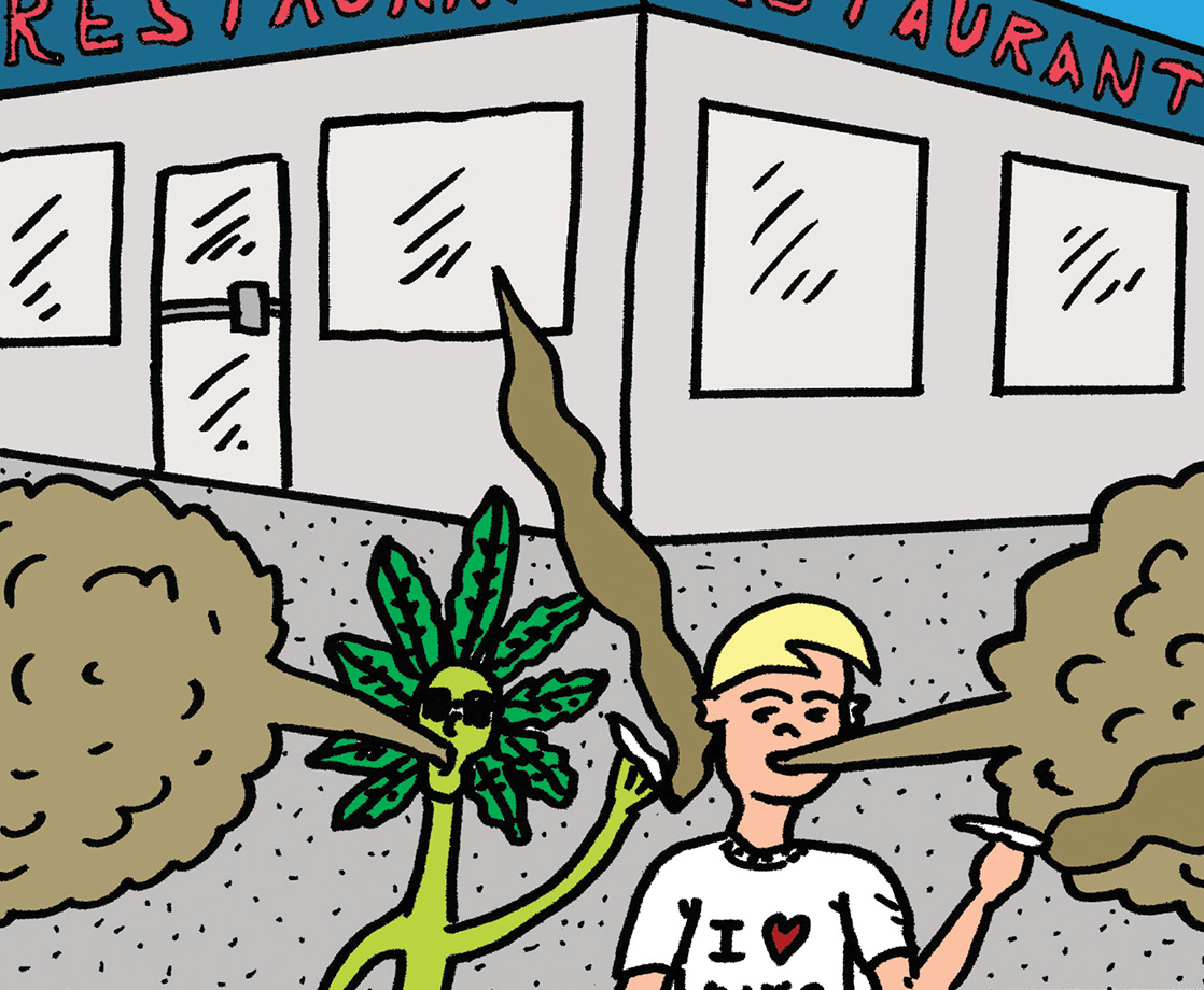 The High Life of Weed Dude Vol. 5: A Sativa Storm Approaches