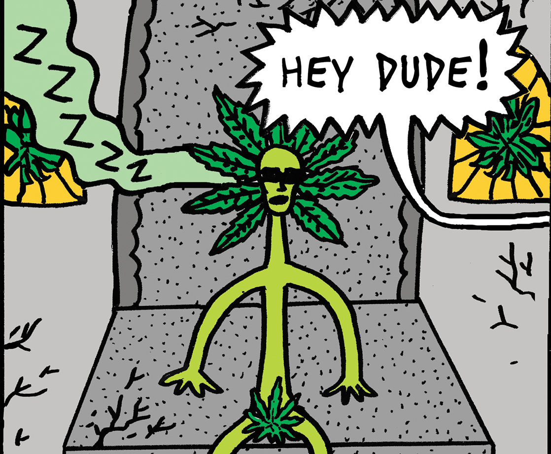 The High Life of Weed Dude Vol. 6: Watch the Weed Throne