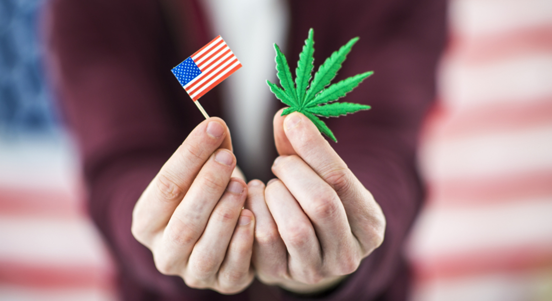 Weekly Weed News Roundup: Cannabis Wins Big at the Ballot Box