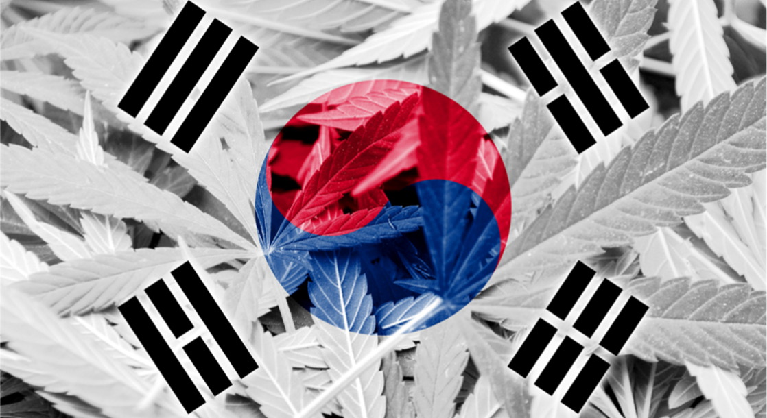 Weekly Weed News Roundup: South Korea Legalizes Medical Cannabis