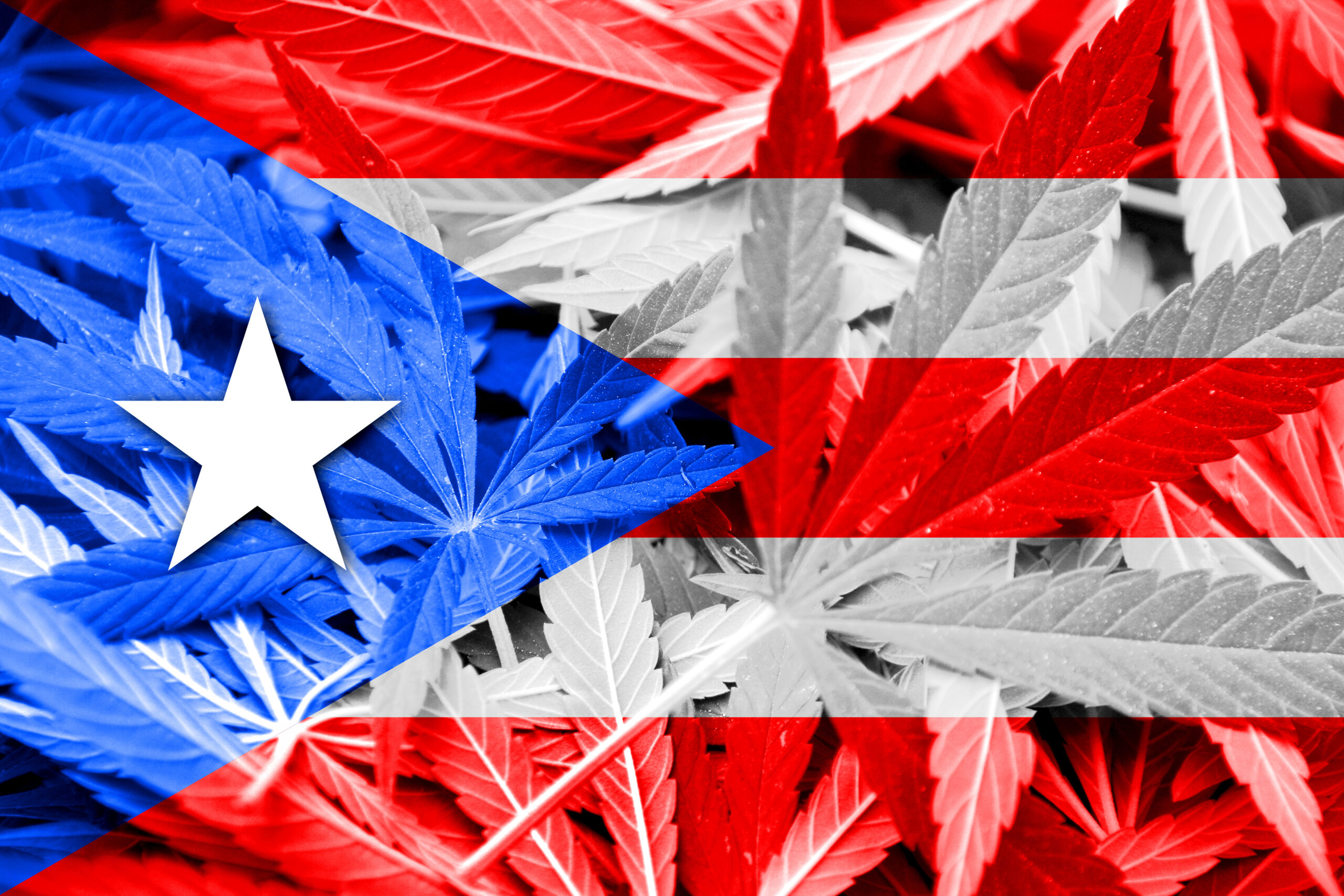How Puerto Rico’s Pot Shops Are Recovering After Hurricane Maria