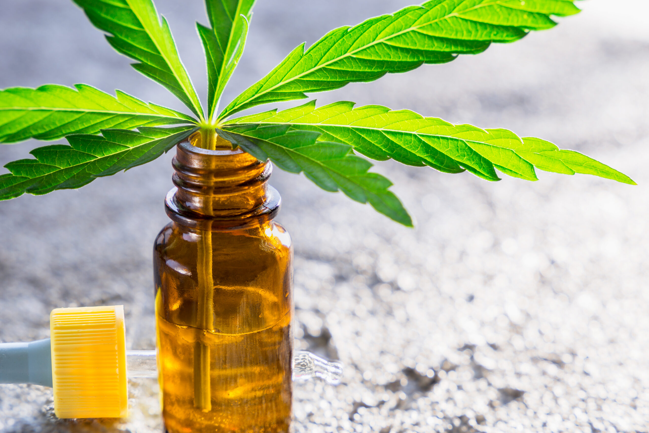 How to Make a Cannabis Tincture
