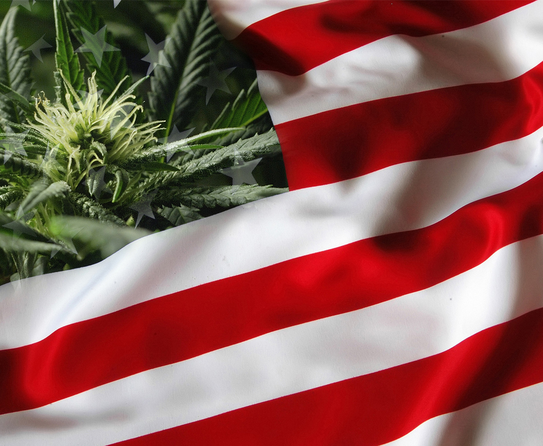 Weekly Weed News Roundup: The Feds Will Spend $1.5 Million on Cannabis Research