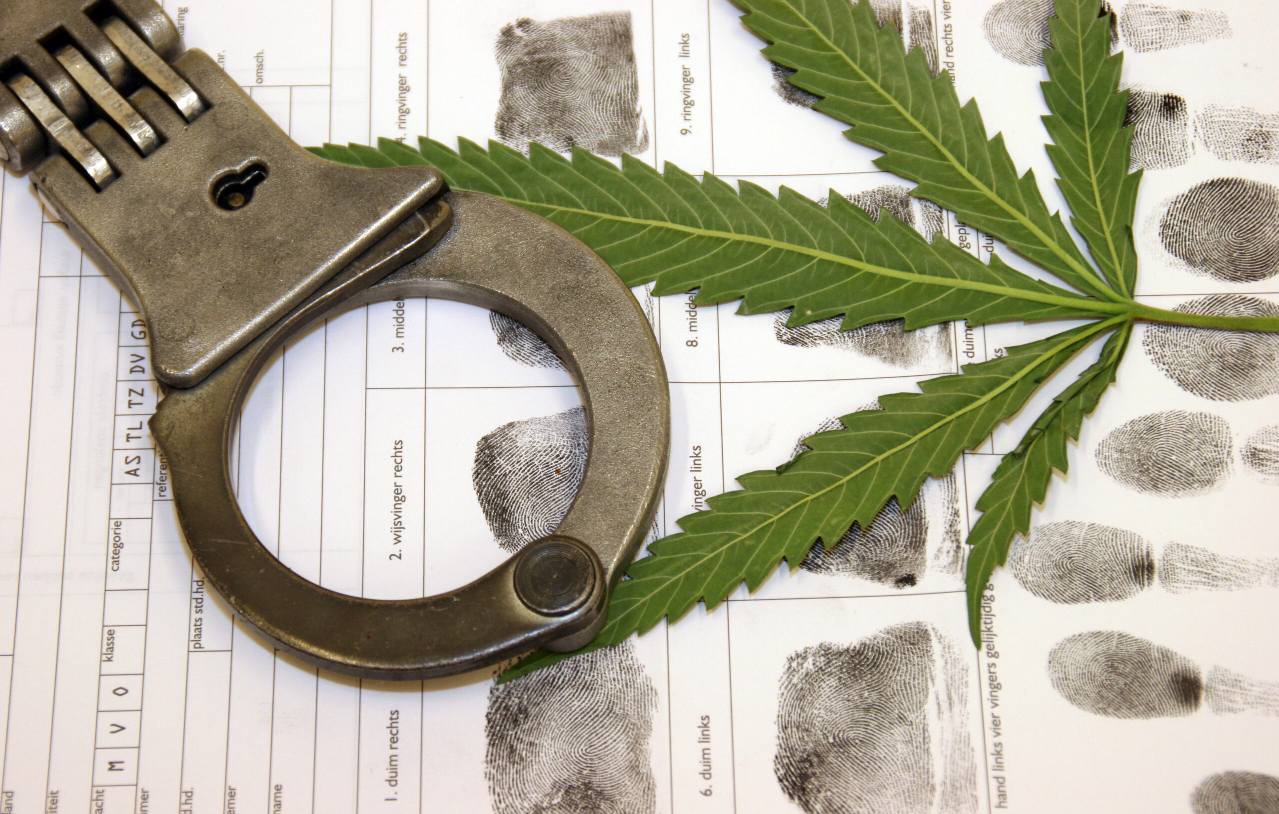 How to Get Cannabis Crimes Expunged From Your Record in California