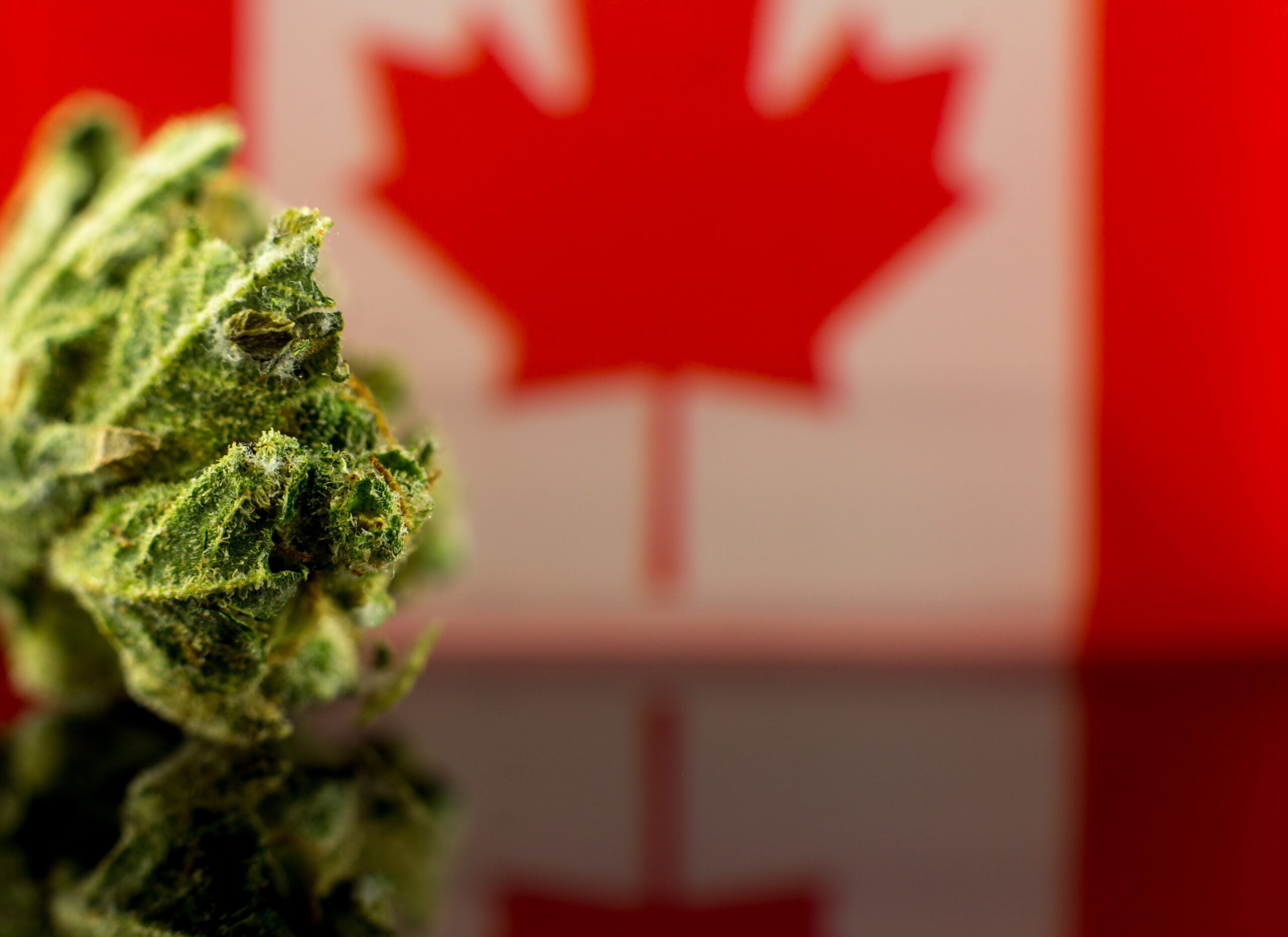 The Great Ontario Reefer Raffle: Why Canada’s Biggest Province Has So Few Dispensaries
