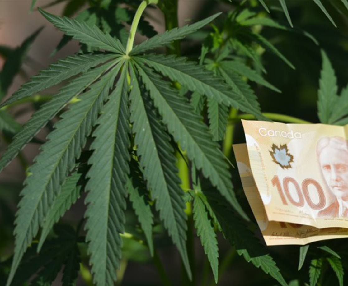 From “YOLO” to “POT”: Weed Company Snags Coveted Stock Ticker Symbol