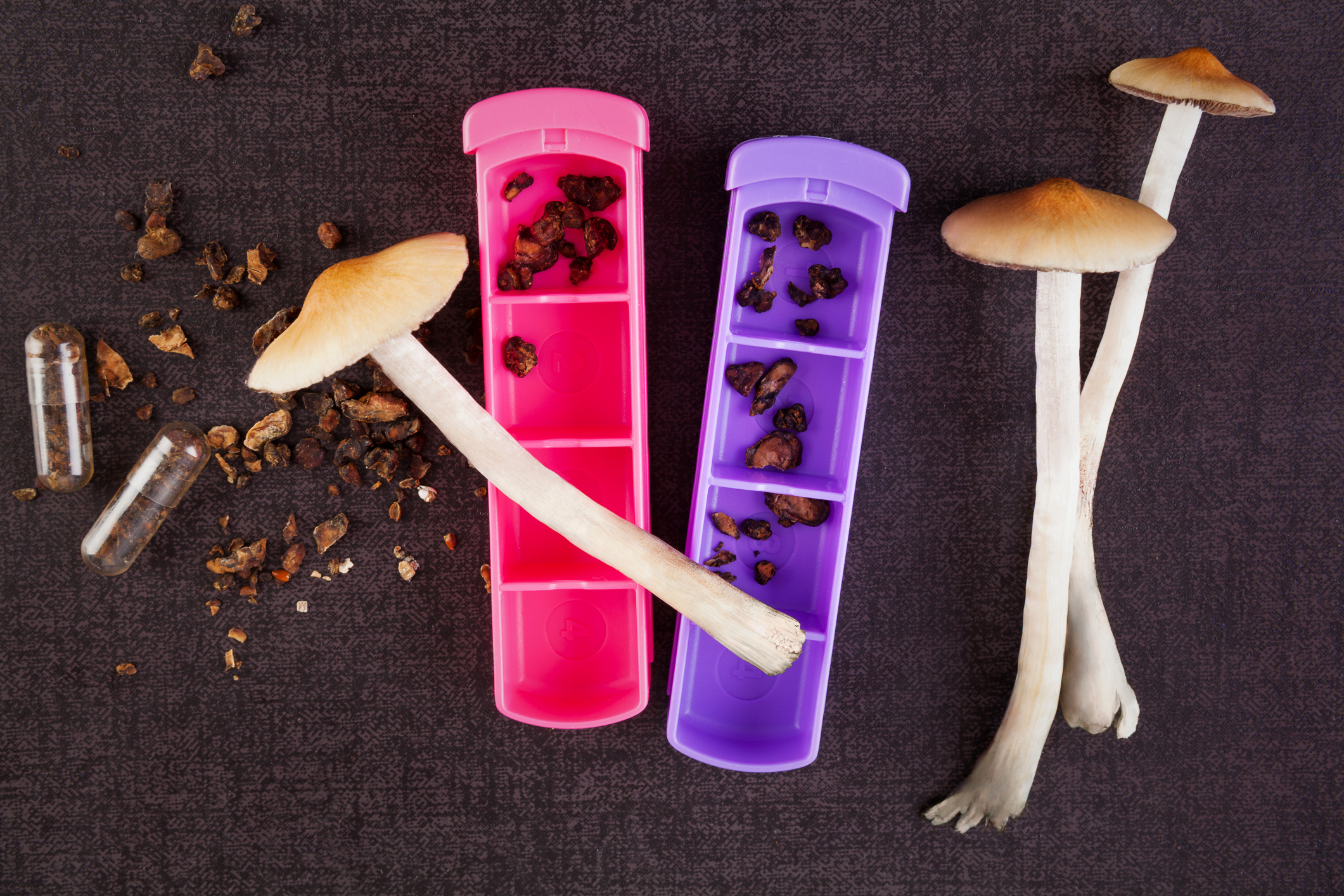 Weekly Weed News Roundup: Magic Mushroom Reform Gains Momentum, PA Pushes for Legal Pot