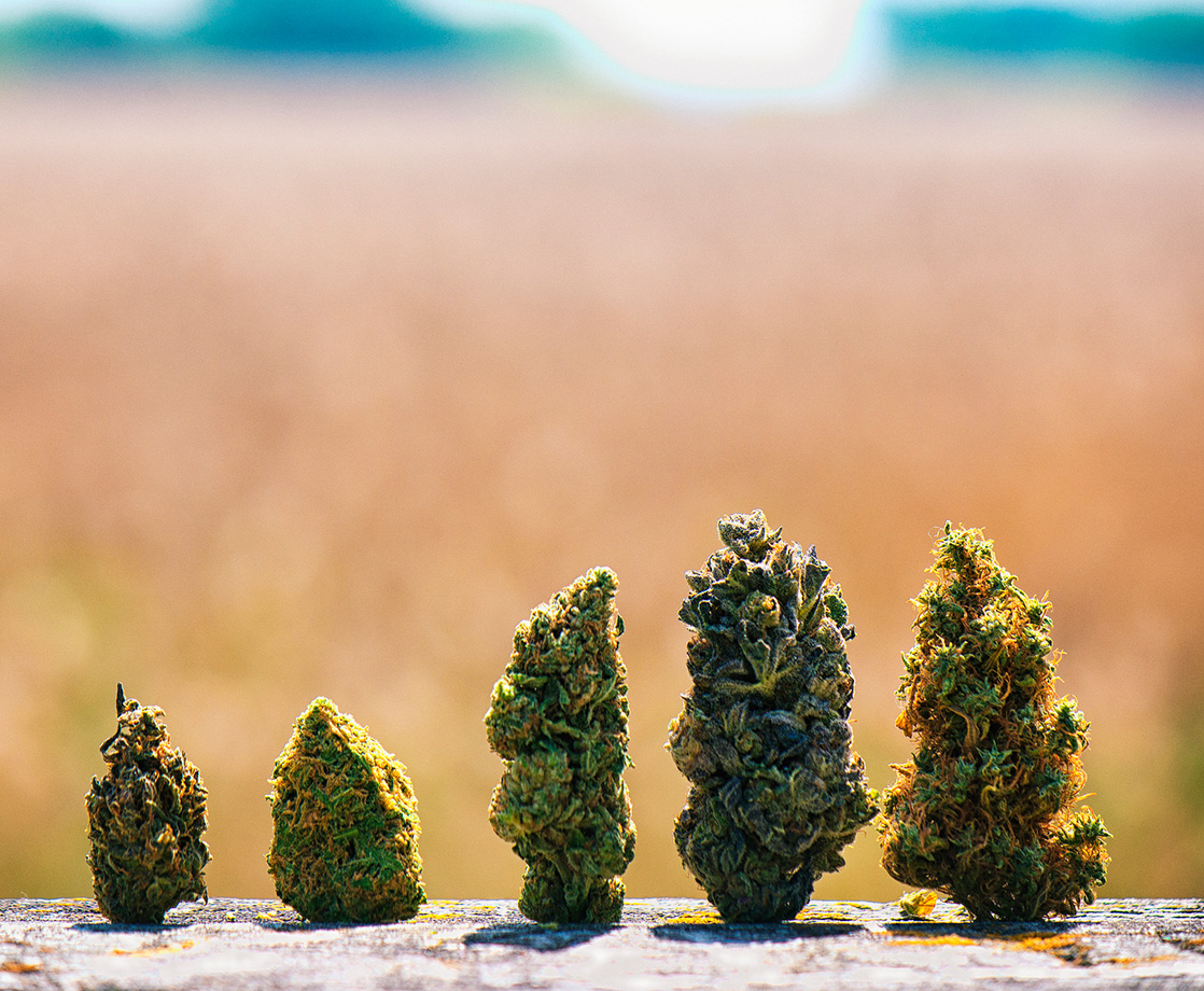 Jane Says: How Can We Destigmatize Cannabis?