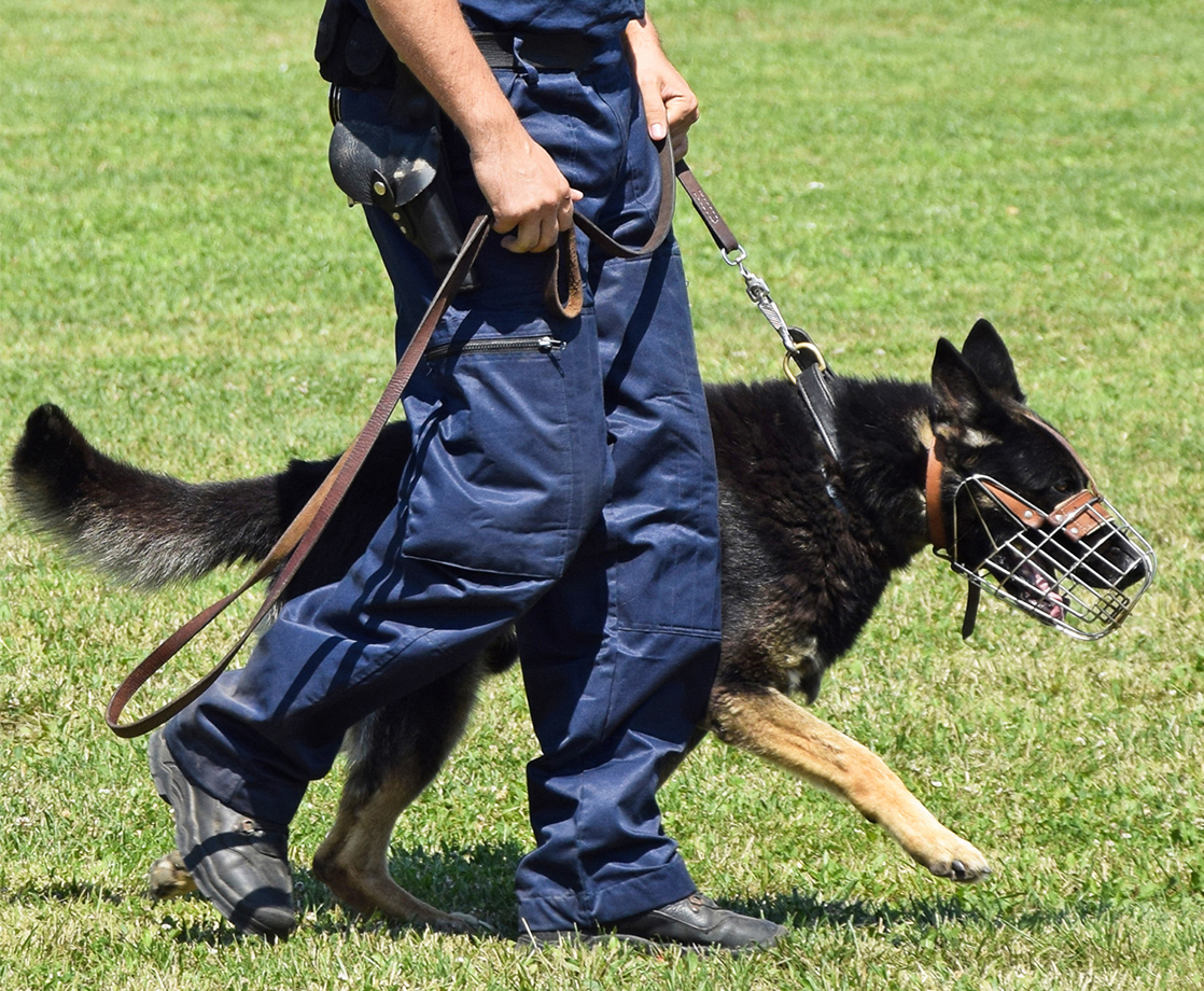 New Jersey Police Will No Longer Train Drug Dogs to Sniff Out Weed