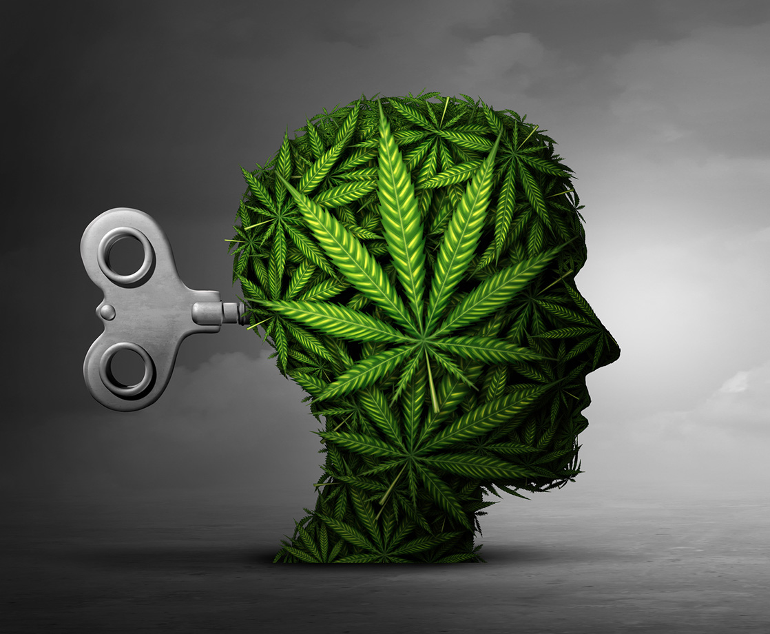 For the First Time, Scientists Looked at Brains on THC and CBD