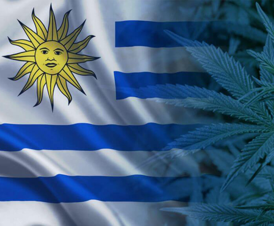 Uruguay to Export Latin America’s First Medical Marijuana Shipments