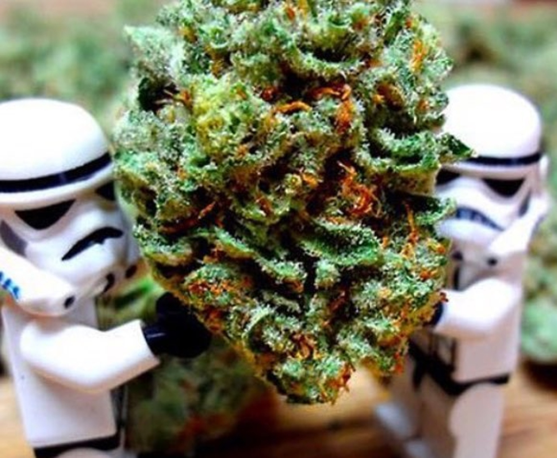Does Yoda Vape? A Guide to How Each Star Wars MVP Consumes Weed