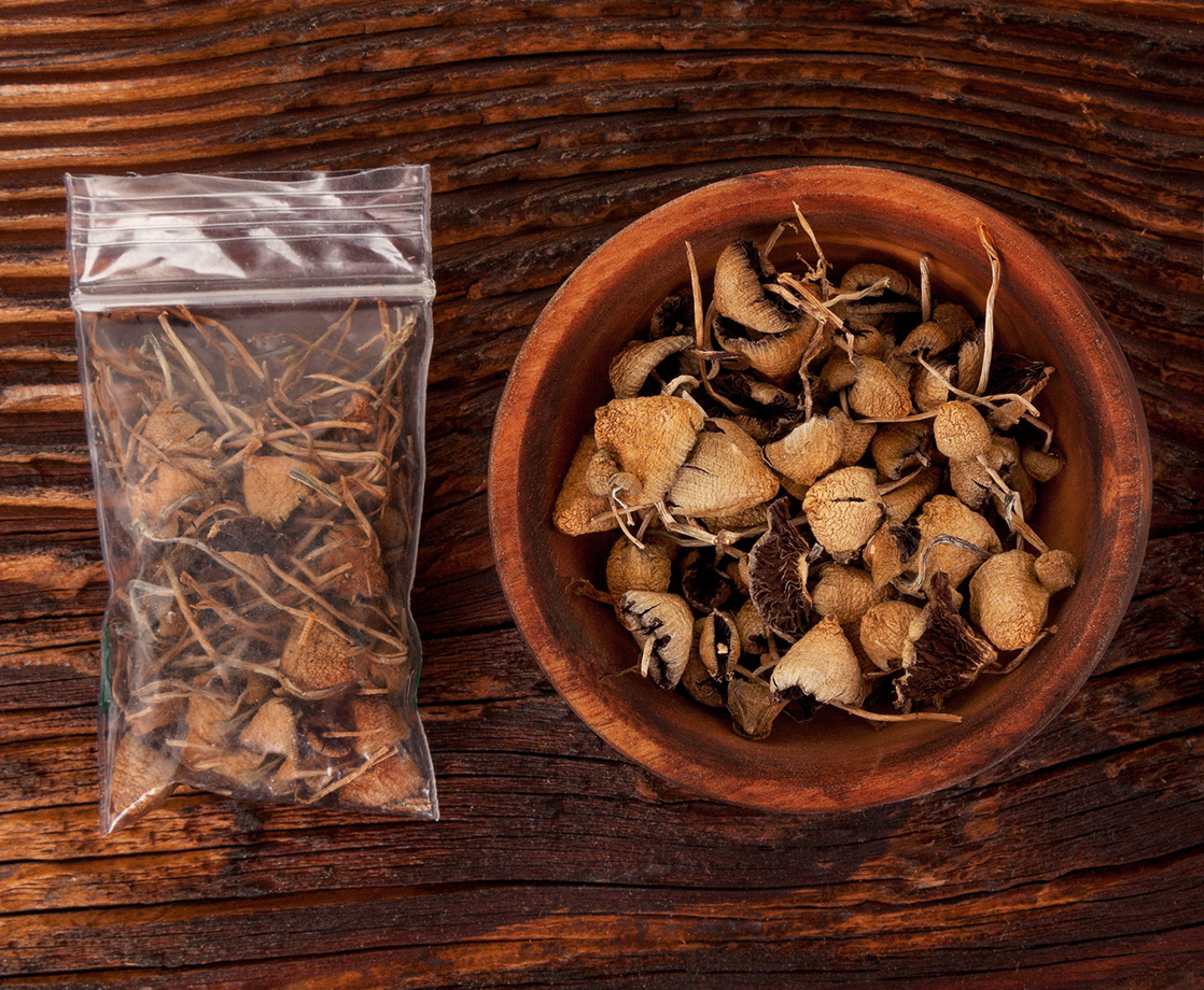 Psychedelic Mushrooms Are (Mostly) Legal in Denver Now