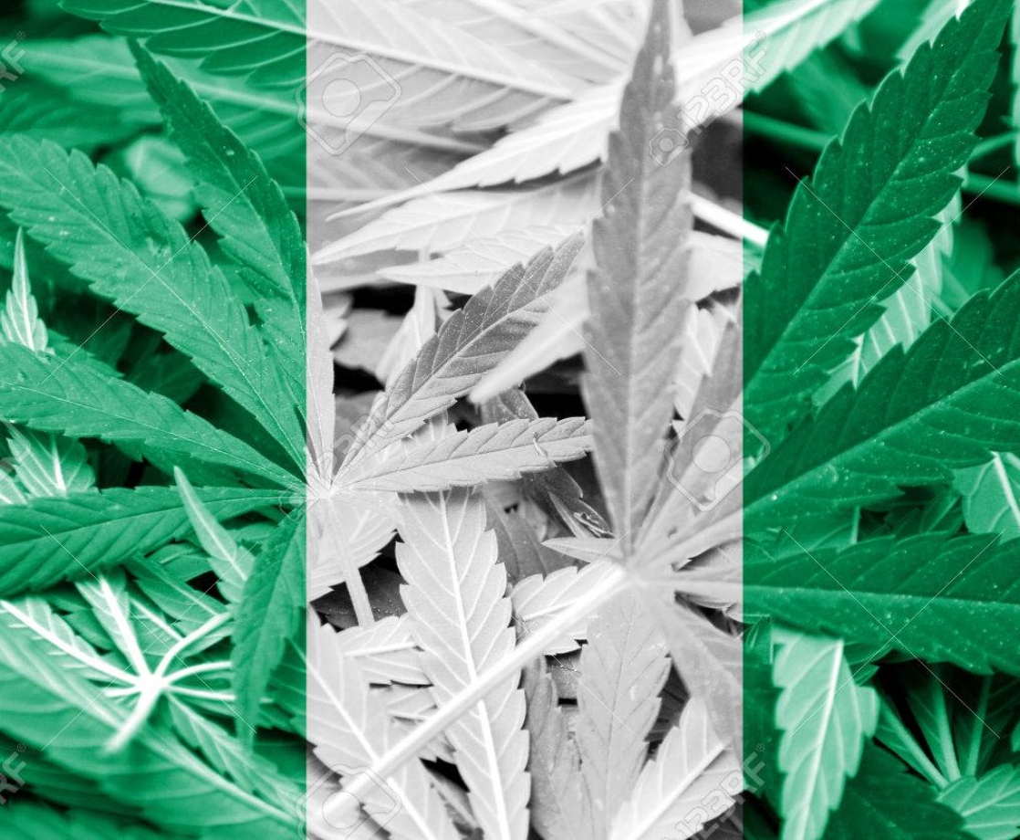 Nigerian State Unveils New Medical Marijuana Program