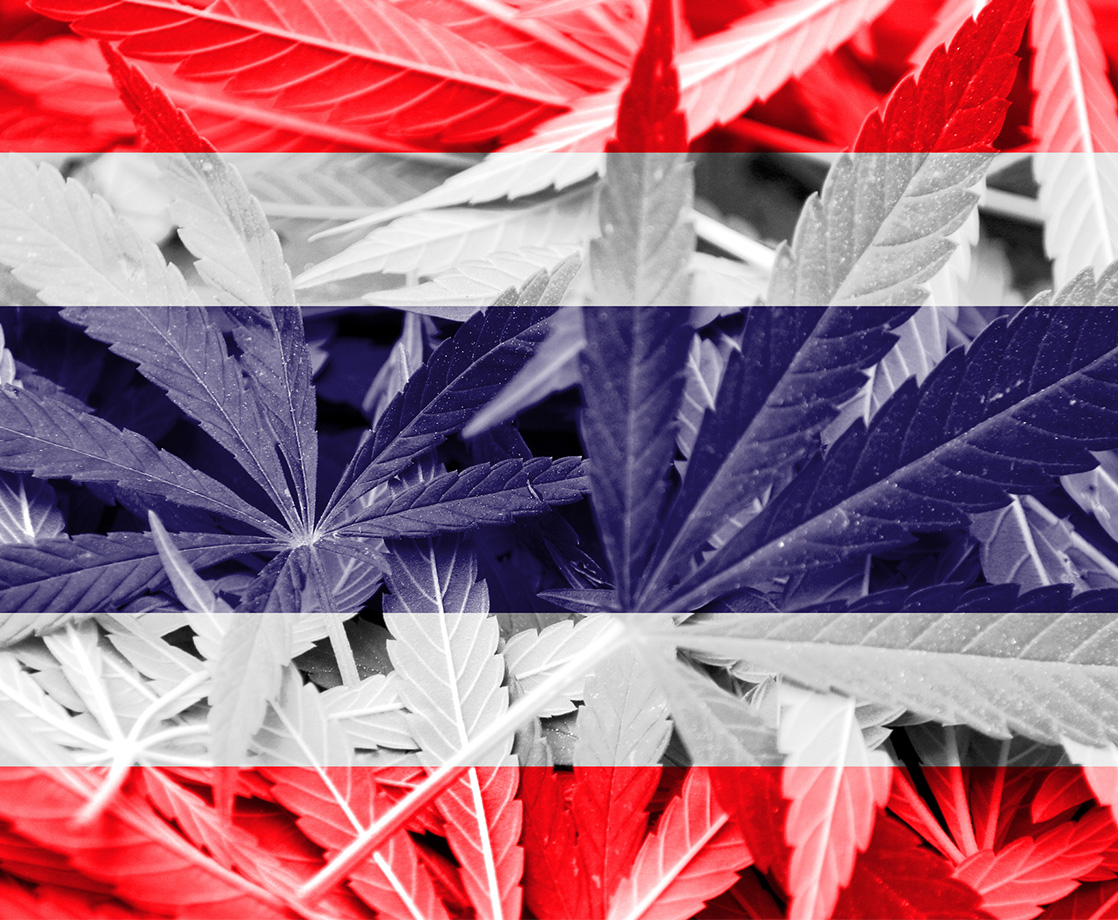 Thailand Will Now Turn Confiscated Weed into Cannabis Medicine