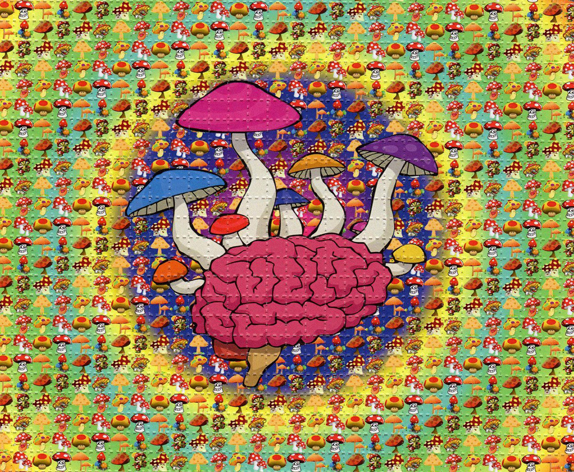 LSD and Psilocybin Can Help Alcoholics Stop Drinking, Study Says