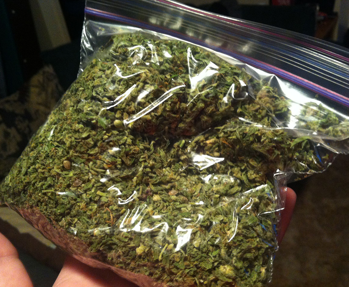 What Is “Shake” Weed and Does It Get You High?