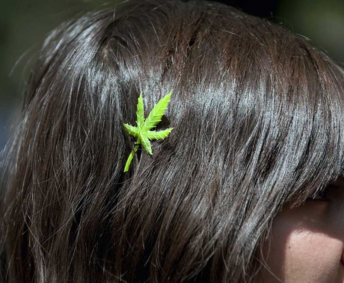 How Long Does Weed Stay in Your Hair?