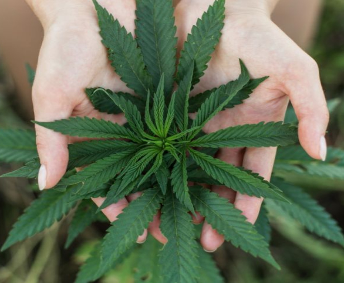 90% of Arthritis Patients Report That Cannabis Helps Relieve Symptoms
