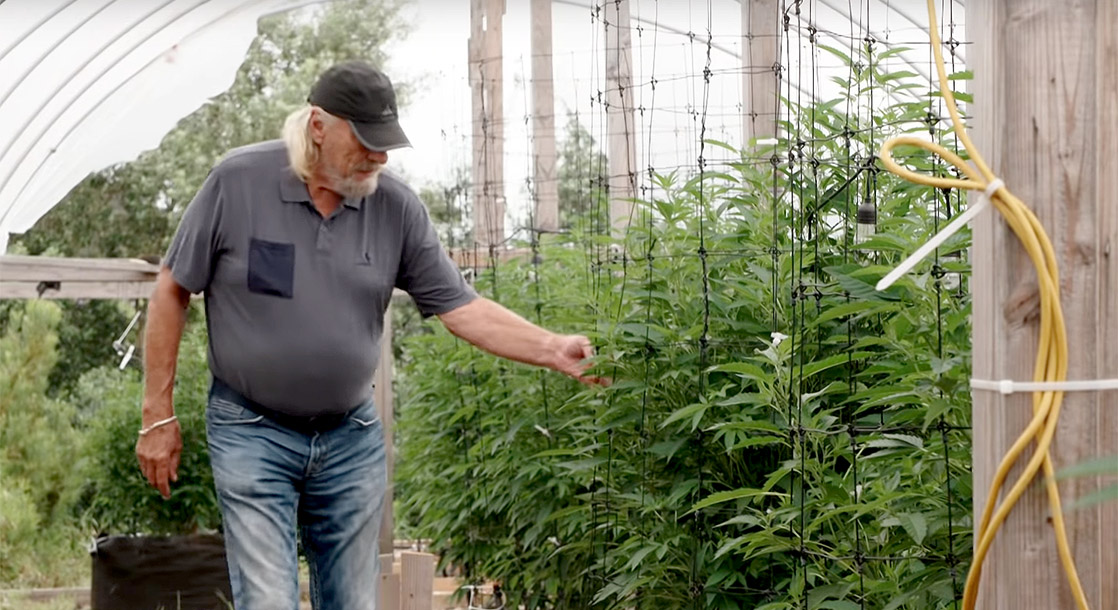 Legendary NBA Coach Says He Grows Weed Now and Puffs It with Willie Nelson