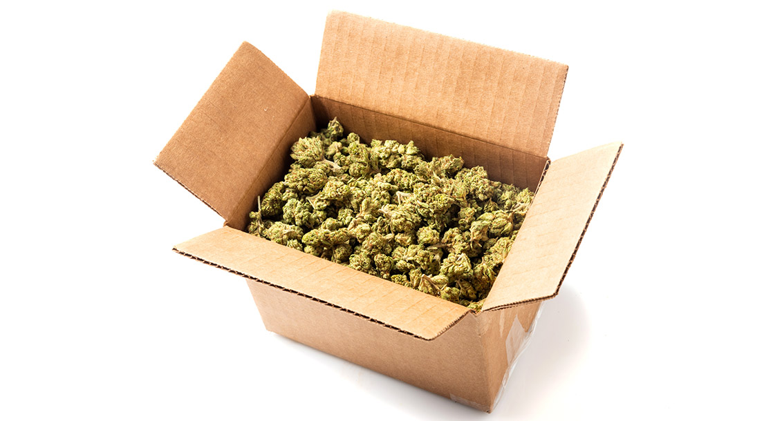 Postal Employee Convicted of Shipping Over 100 Kilos of Weed Through Snail Mail