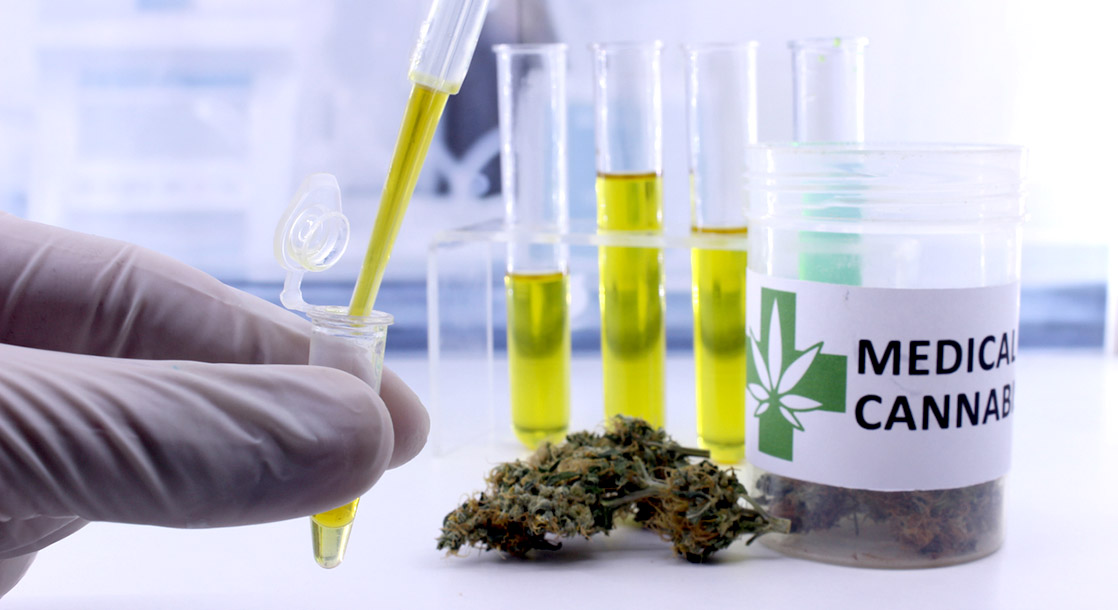 Scientists Sue DEA for Delaying Weed Research