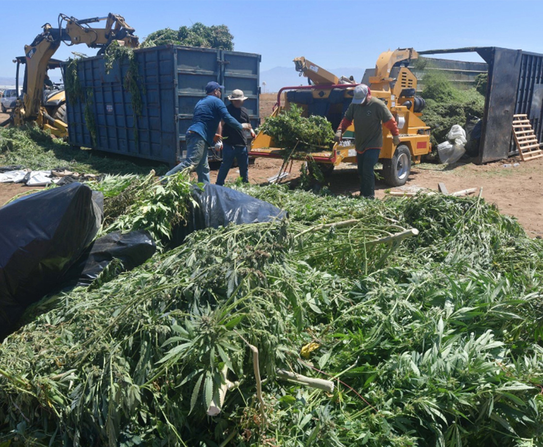 California Police Confiscate 47 Tons of Weed, Bust Hash Lab in Black Market Raid