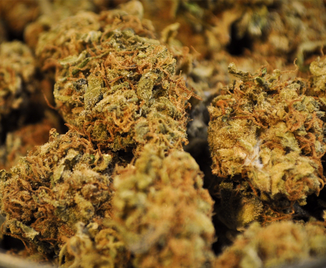 California Has Seized $30 Million of Weed from Illicit Pot Shops Since Legalization