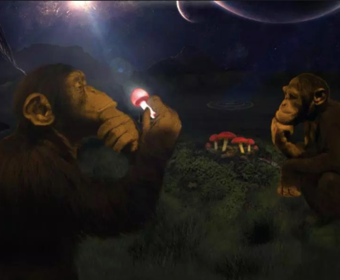 WTF Is the “Stoned Ape Theory”?