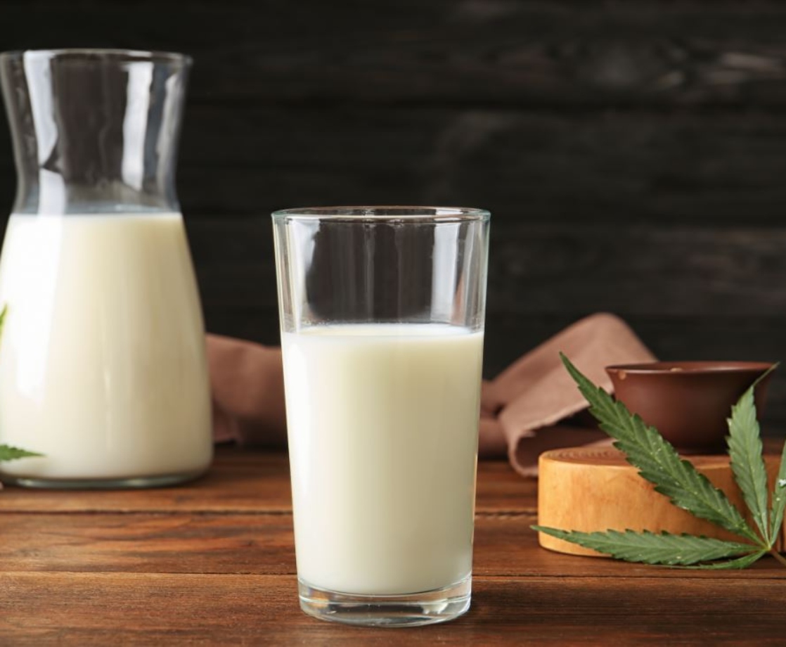 What Are the Benefits of Hemp Milk, and How Do You Make It?