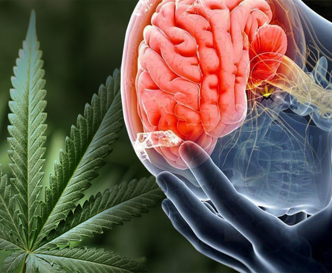 Scientist Debunks Her Earlier Study That Claimed Weed Causes Brain Damage