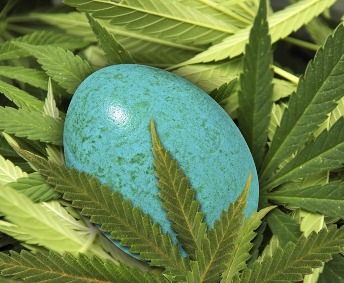 Eggs and Peanuts Could Prevent Birth Defects Caused by Weed