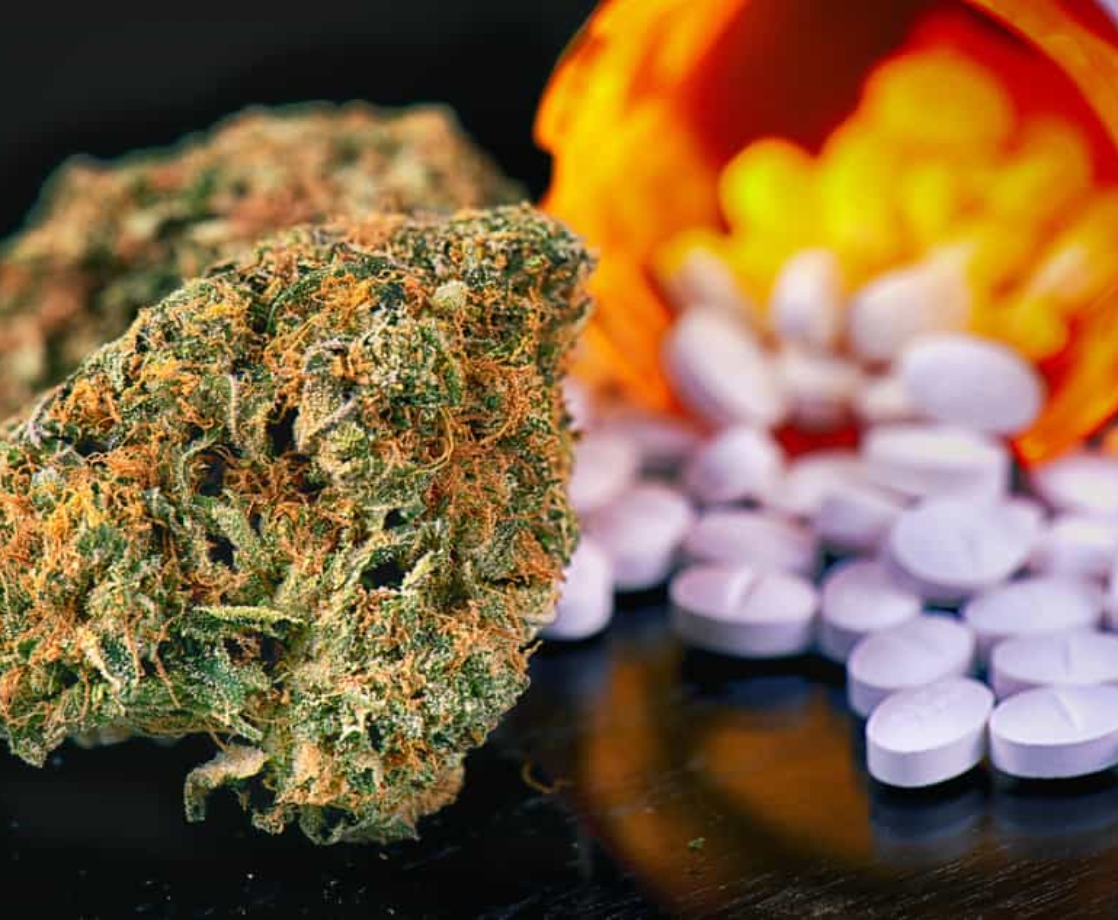 Mixing Weed with Opioids May Be a Bad Idea, Study Says