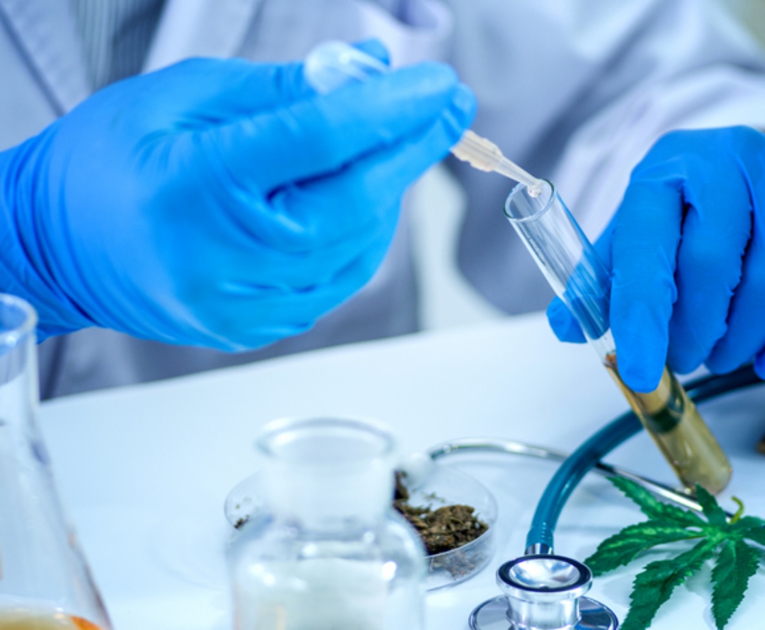 Cannabis Testing Lab in Michigan Busted for Faking Test Results