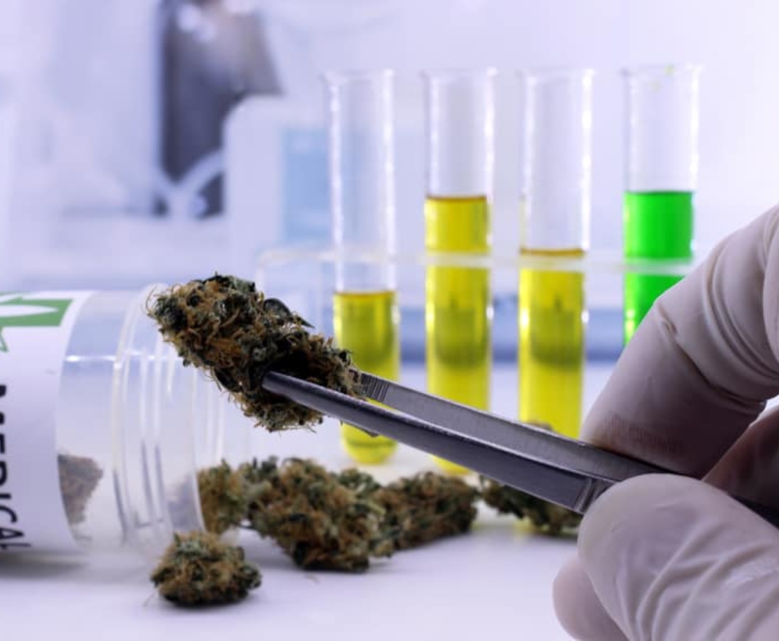 This Federal Health Institute Just Released Its List of Weed Research Priorities