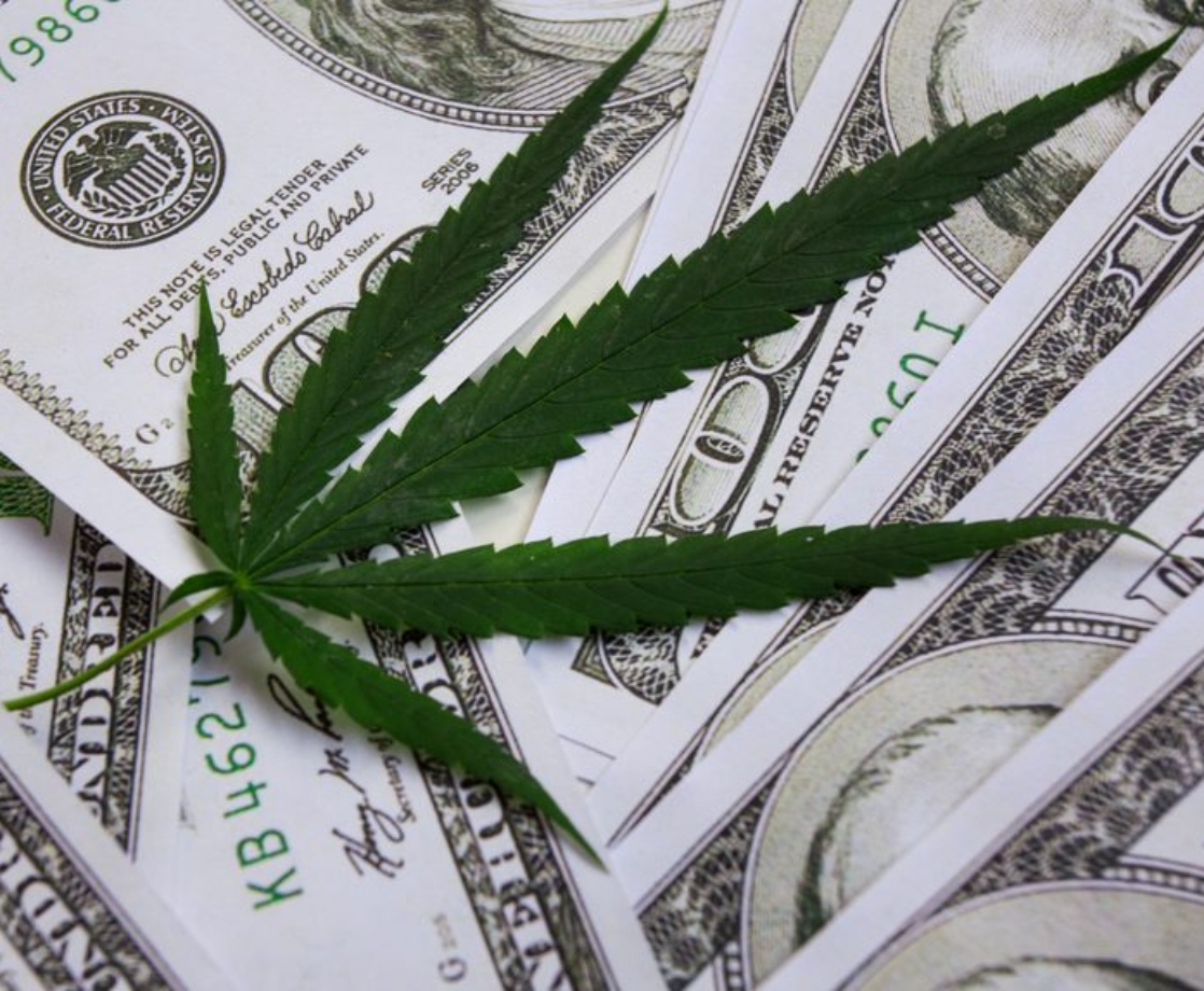 It’s Now Legal for Credit Unions to Serve Hemp Businesses